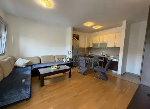 Rent, one bedroom apartment, 45m², Nova Dalmatinska, Podgorica - image 9
