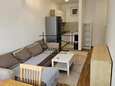 Izdavanje, dvosoban stan, 42m², Socijalno, Novi Sad Sve Podlokacije