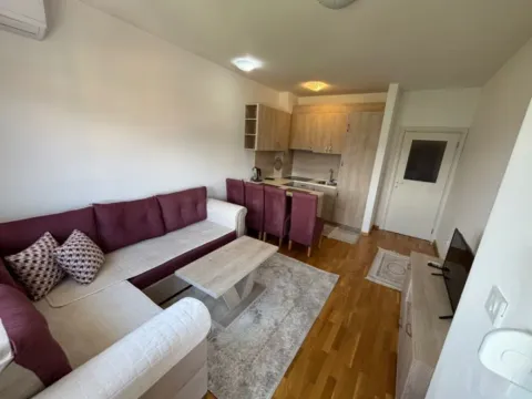 Izdavanje, jednosoban stan, 45m², Stari Aerodrom, Podgorica - image 5