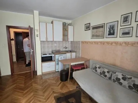 Izdavanje, garsonjera, 25m², Bulevar Oslobodjenja, Novi Sad Sve Podlokacije - image 3