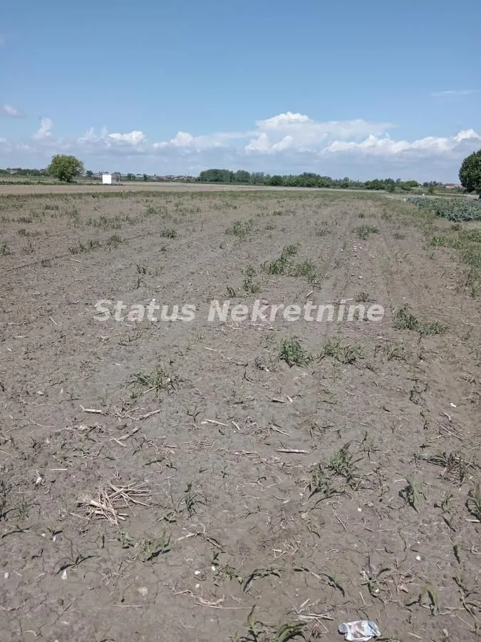 Prodaja, plac, 6917m², Novi Sad, Srbija