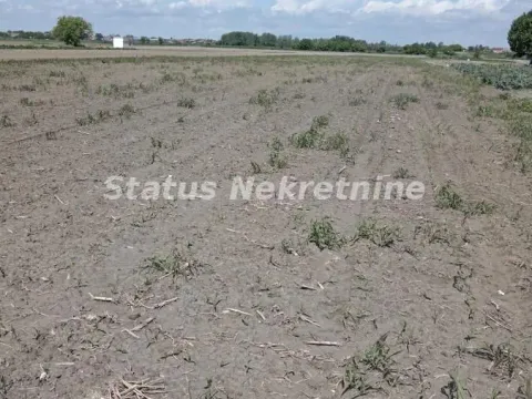 Sale, land lot, 69m², Novi Sad, Srbija