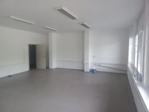 Izdavanje, poslovni prostor, 700m², Zemun Sve Podlokacije, Beograd - image 12