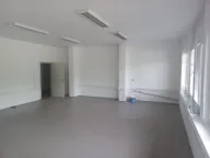 Izdavanje, poslovni prostor, 700m², Zemun Sve Podlokacije, Beograd - image 12