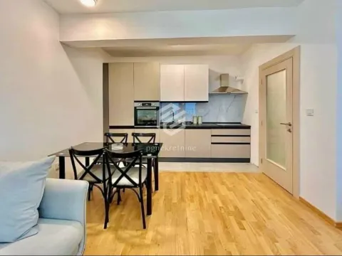 Rent, one bedroom apartment, 49m², Stara Varoš, Podgorica - image 3