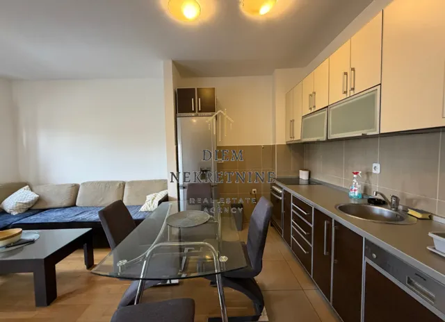 Rent, one bedroom apartment, 45m², Nova Dalmatinska, Podgorica