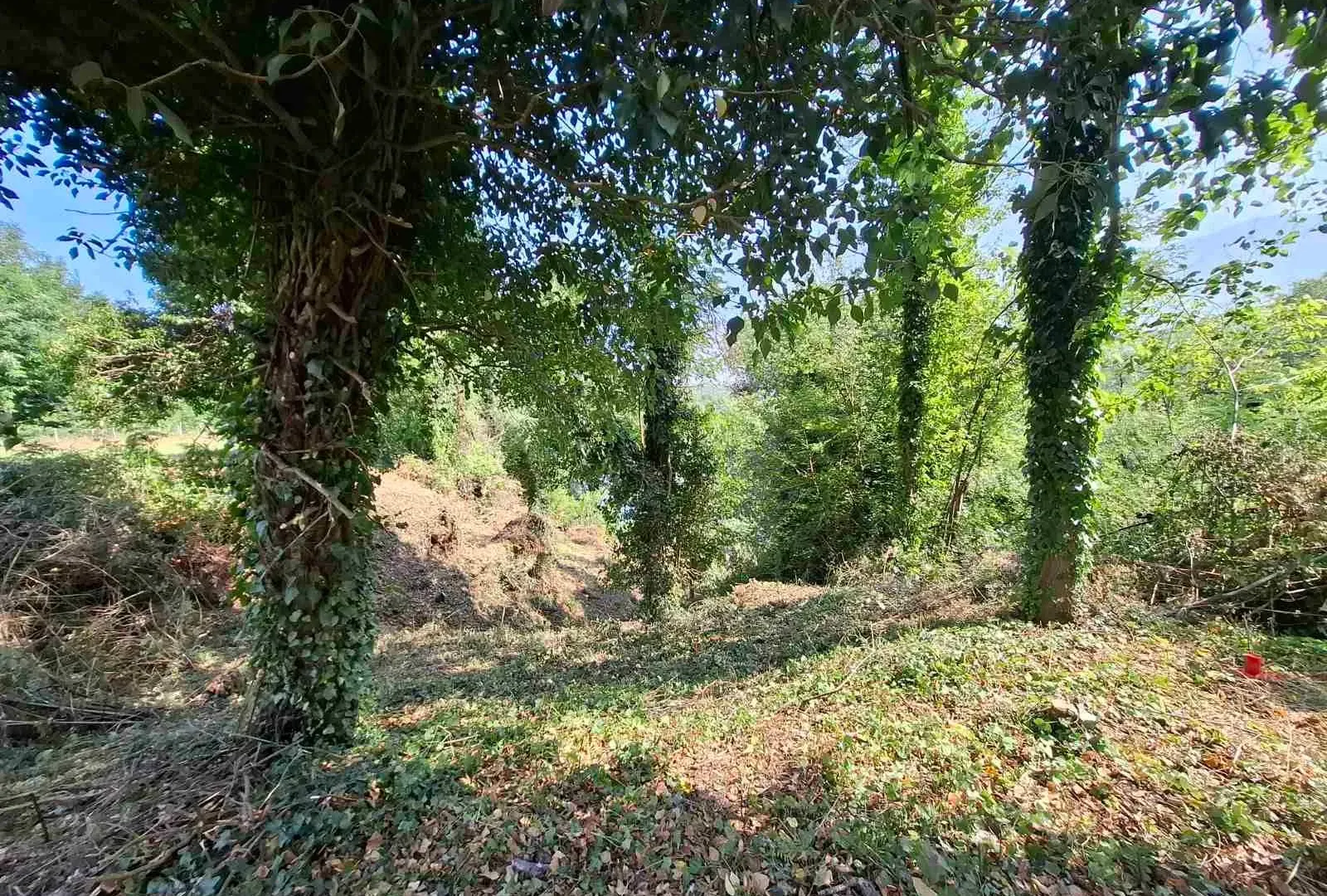 Prodaja, plac, 700m², Danilovgrad, Crna Gora