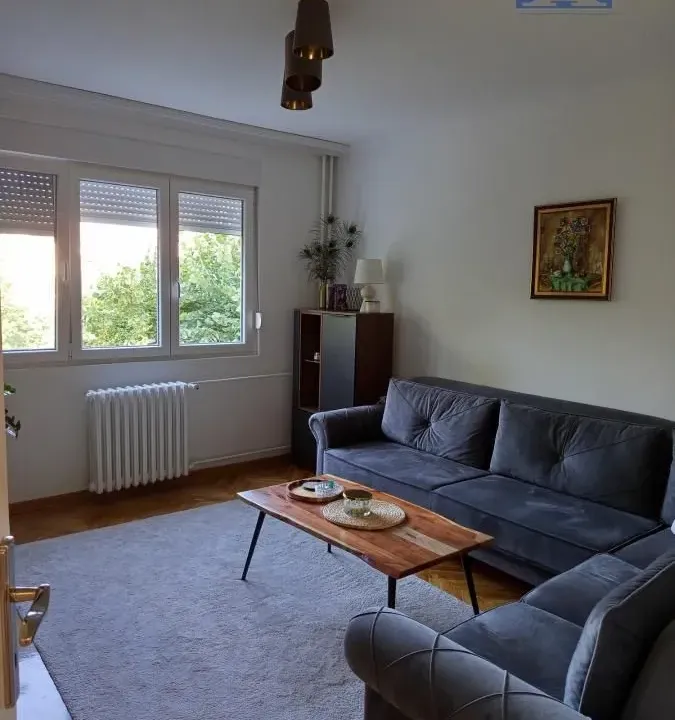 Izdavanje, dvosoban stan, 51m², Liman 4, Novi Sad Sve Podlokacije