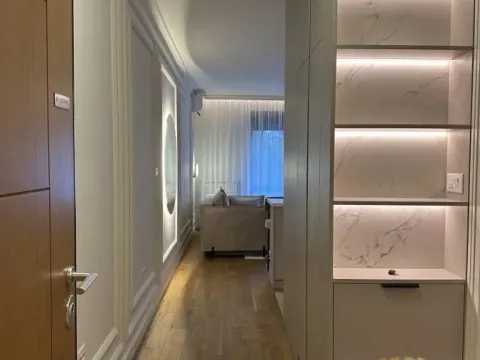 Izdavanje, jednosoban stan, 35m², Južni Bulevar, Vračar Sve Podlokacije - image 11