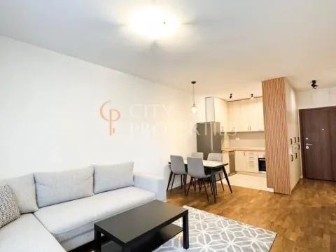 Izdavanje, stan, 46m², Stari Aerodrom, Podgorica - image 4