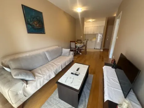 Izdavanje, jednosoban stan, 40m², Central Point, Podgorica - image 3