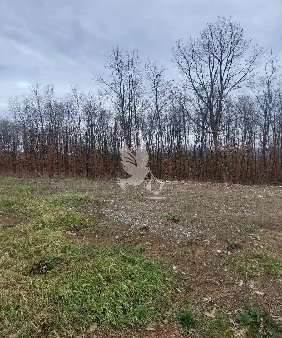 Prodaja, plac, 13500m², Mladenovac, Beograd