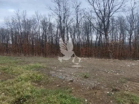 Prodaja, plac, 13500m², Mladenovac, Beograd - image 2