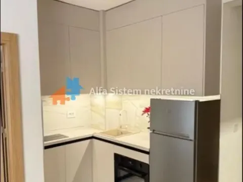 Rent, apartment, 33m², Vračar Hram, Vračar Sve Podlokacije - image 3