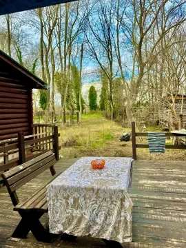 Drvena terasa sa stolom i klupom u dvorištu okruženom šumom. - image 11