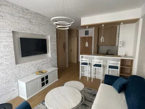 Izdavanje, jednosoban stan, 47m², Budva, Crna Gora - image 11