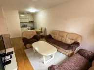 Izdavanje, jednosoban stan, 50m², Central Point, Podgorica - image 2