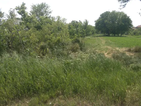 Prodaja, plac, 2050m², Stari Banovci, Stara Pazova - image 2