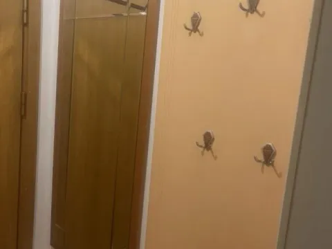 Rent, one bedroom apartment, 40m², Liman 1, Novi Sad Sve Podlokacije - image 4