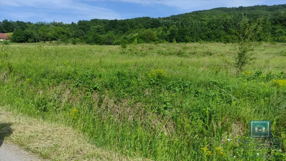 Prodaja, plac, 216600m², Resavica (varošica), Despotovac
