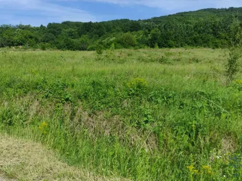 Prodaja, plac, 2166m², Resavica (varošica), Despotovac - image 11