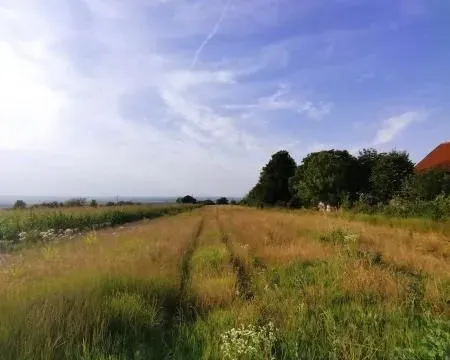 Sale, land lot, 27m², Beočin, Srbija