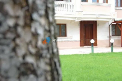 Pogled na dvorište i ulaz u kuću kroz stablo. - image 6
