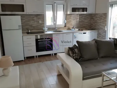 Izdavanje, jednosoban stan, 40m², Stari Aerodrom, Podgorica - image 1