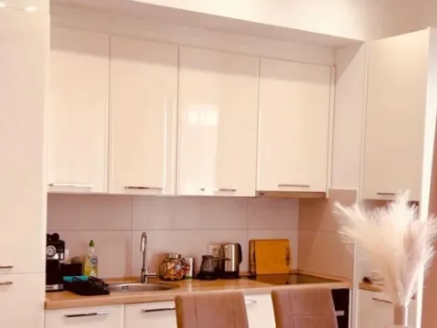 Izdavanje, jednosoban stan, 47m², Kalimanj, Tivat - image 10