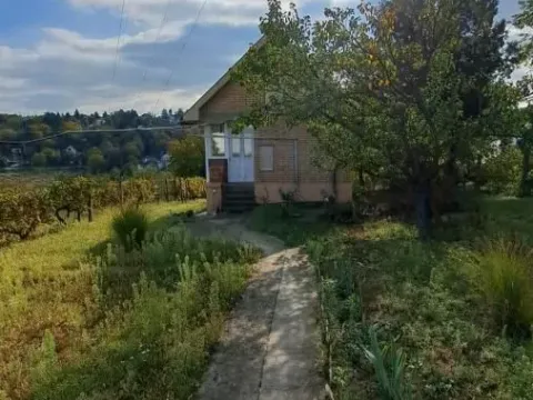 Prodaja, plac, 3000m², Sremska Kamenica, Petrovaradin - image 11