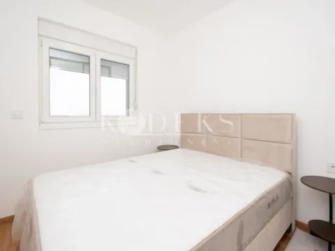 Rent, one bedroom apartment, 46m², Stari Aerodrom, Podgorica - image 5