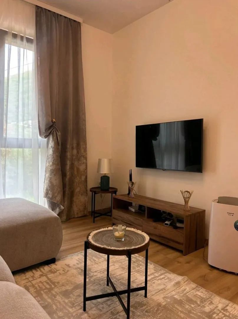 Pogled na dio dnevnog boravka sa televizorom i garniturom.