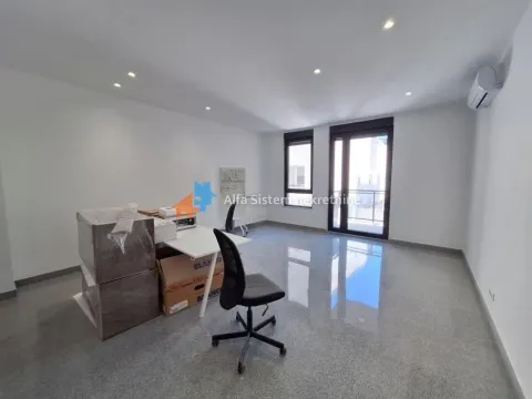 Izdavanje, poslovni prostor, 185m², Vračar Hram, Vračar Sve Podlokacije - image 2