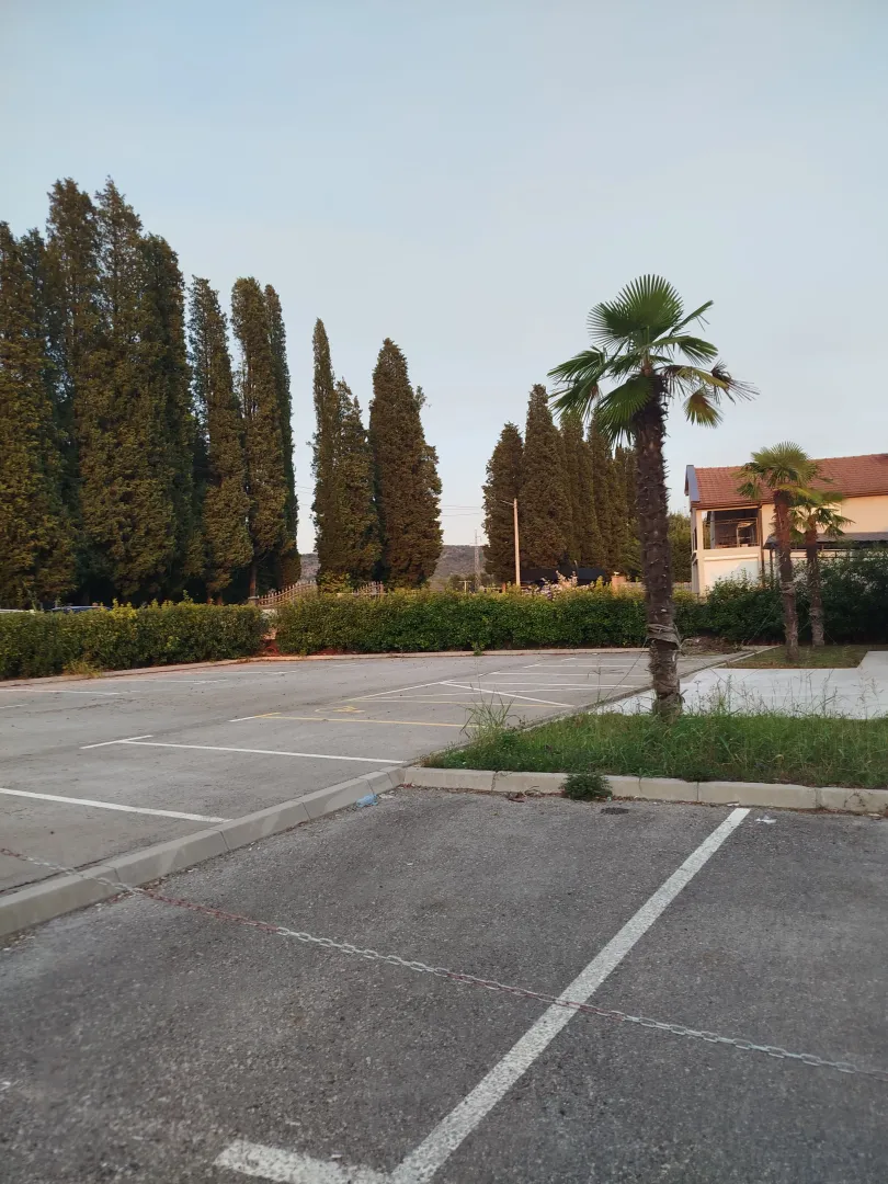 Open parking area with marked spaces and greenery.