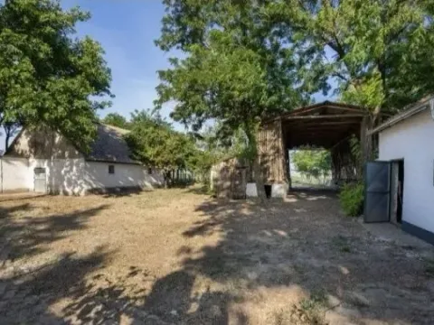 Sale, house, 500m², Srbobran, Novi Sad - image 7