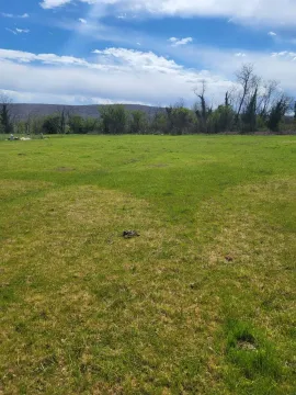 Prostrani zeleni plac okružen drvećem pod plavim nebom. - image 10