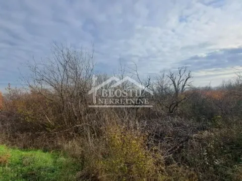 Prodaja, plac, 2000m², Grocka, Beograd - image 3