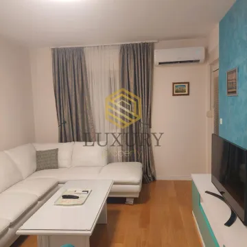 Rent, one bedroom apartment, 49m², Central Point, Podgorica - image 2