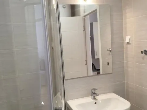 Izdavanje, jednosoban stan, 41m², Telep, Novi Sad Sve Podlokacije - image 10