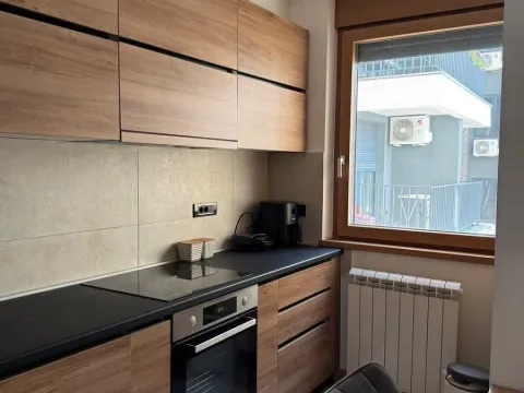 Rent, two bedroom apartment, 40m², Južni Bulevar, Vračar Sve Podlokacije - image 4