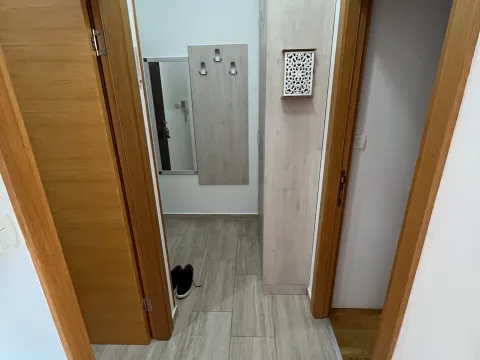 Prodaja, jednosoban stan, 49m², Ljubović, Podgorica - image 16