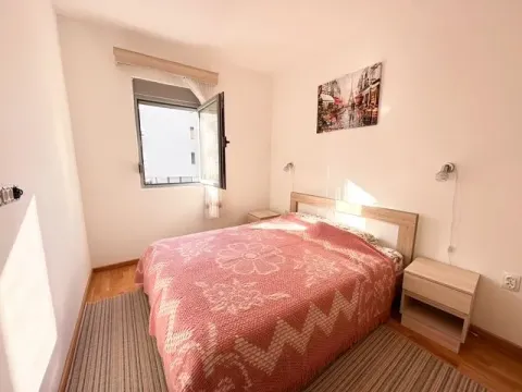 Izdavanje, jednosoban stan, 42m², Zabjelo, Podgorica - image 4