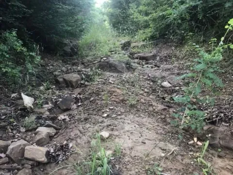 Sale, land lot, 18900m², Velja Gorana, Bar - image 15