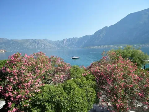 Sale, house, 172m², Kotor, Crna Gora - image 3