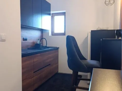 Prodaja, jednosoban stan, 38m², Čajetina, Srbija - image 9