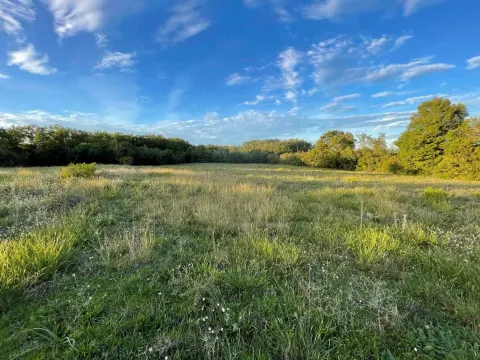 Sale, land lot, 68422m², Gornji Štoj, Ulcinj - image 7