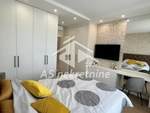 Izdavanje, dvosoban stan, 55m², Savski Venac, Beograd - image 7