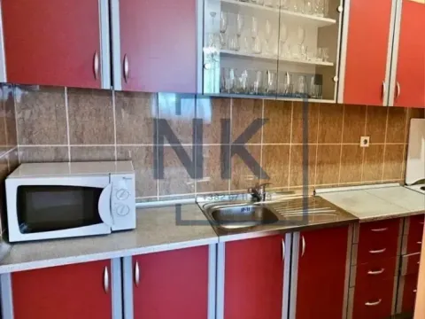 Izdavanje, jednosoban stan, 49m², Stari Aerodrom, Podgorica - image 5