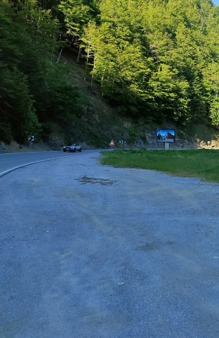Pogled na prilazni put i šumoviti pejzaž u okolini nekretnine.