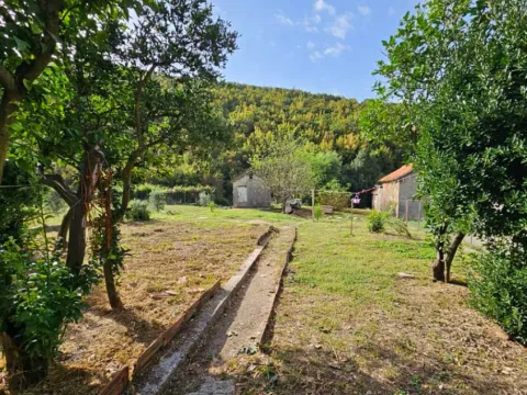 Sale, house, 90m², Zelenika, Podgorica - image 3